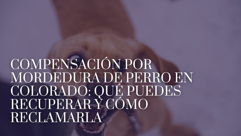 Compensación por mordedura de perro en Colorado: qué puedes recuperar y cómo reclamarla_image