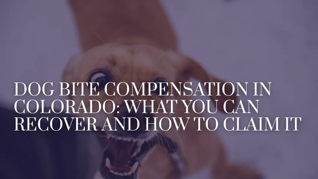 Dog Bite Compensation in Colorado_ What You Can Recover and How to Claim It Image